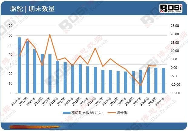 骆驼产业崛起：从传统到现代，中国骆驼市场的未来趋势