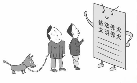 宠物纠纷多发  依法养犬有说法
