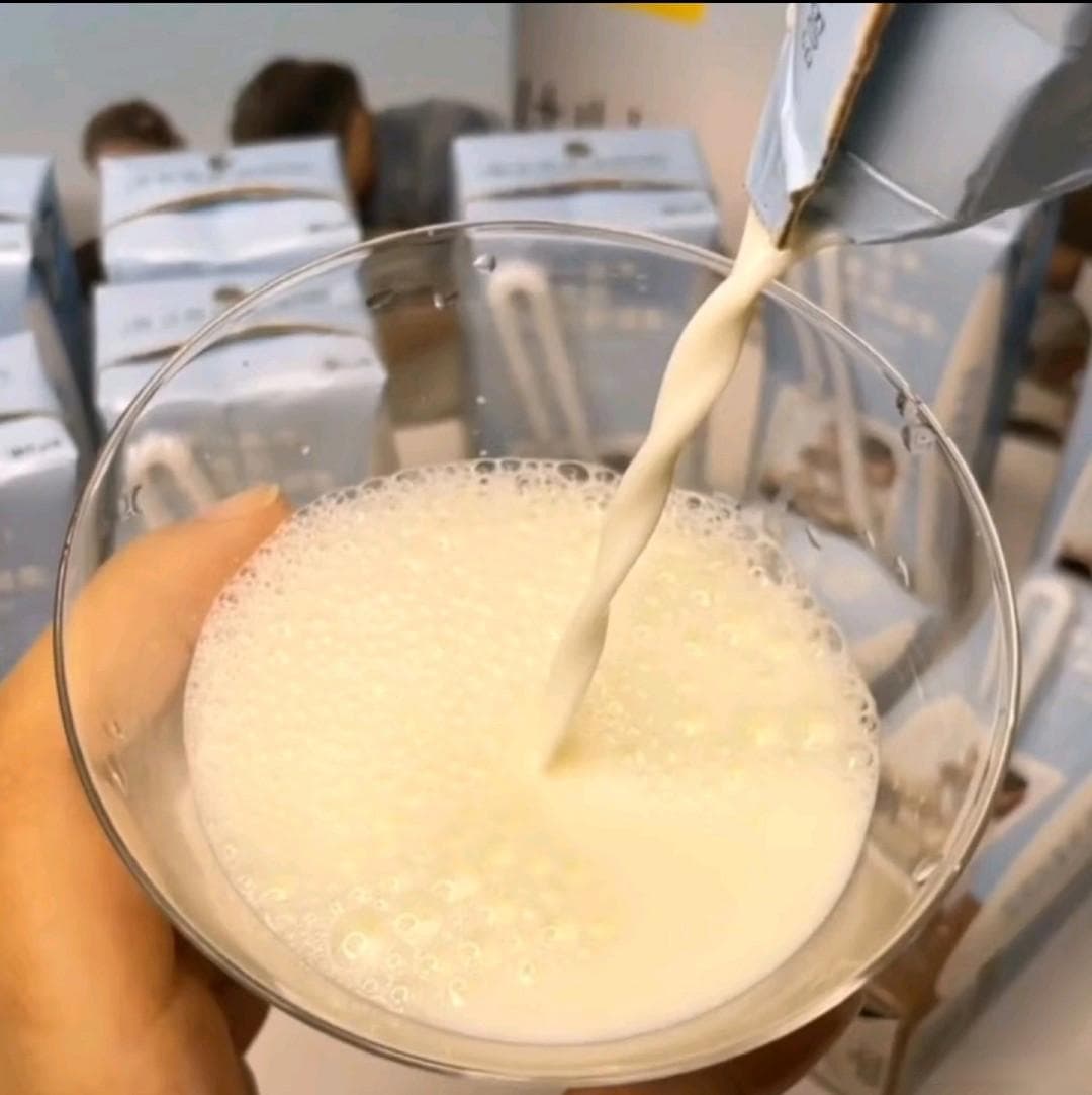 探究牛奶的原始来源