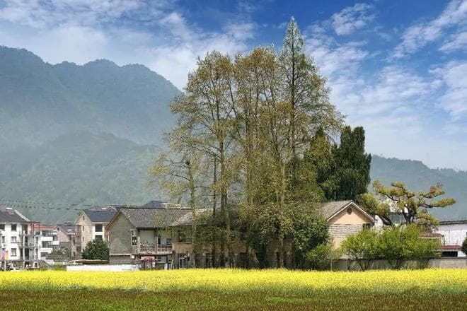 全域旅游的发展规划探索与路径思考