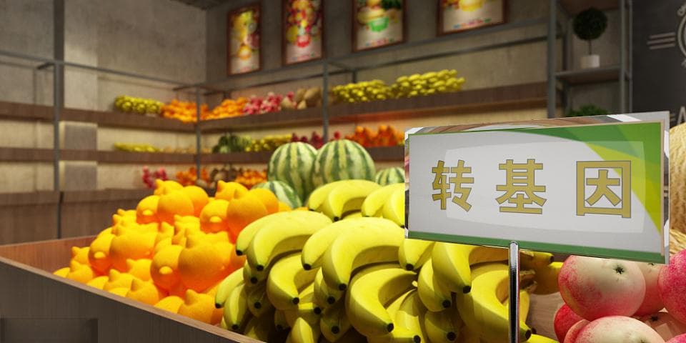 转基因谣言经久不衰？专家破解6大谣言，还原科学真相