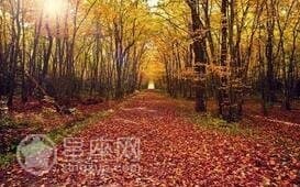 子墨名字的多重寓意与文化内涵