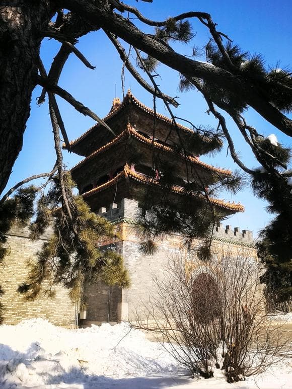 寻祖根找祖脉：王氏家族从山东到辽宁的迁徙史