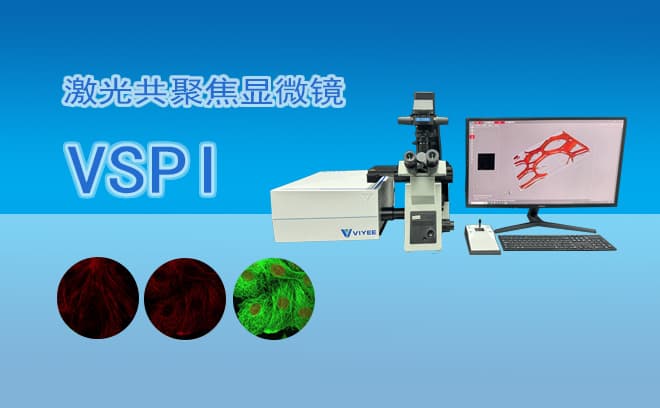 激光共聚焦显微镜：多领域应用与技术优势