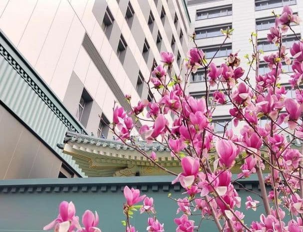 北京协和医学院护理学专业就业怎么样？创先河！医学殿堂实至名归