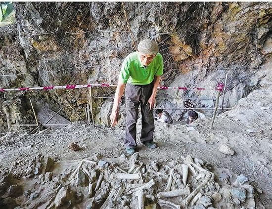 204万年前“巫山人”化石出土，改写东亚人类史