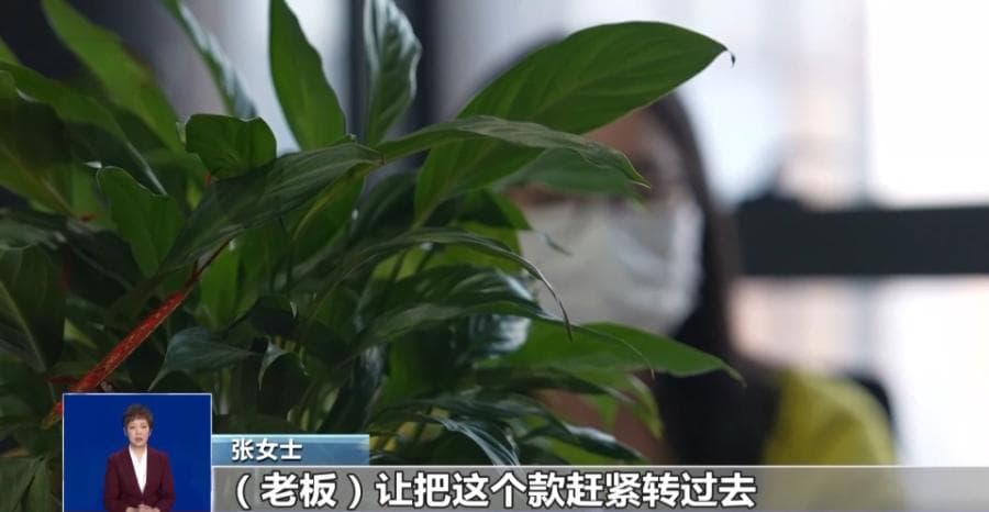防范"AI换脸"诈骗 你需要的知识都在这儿了
