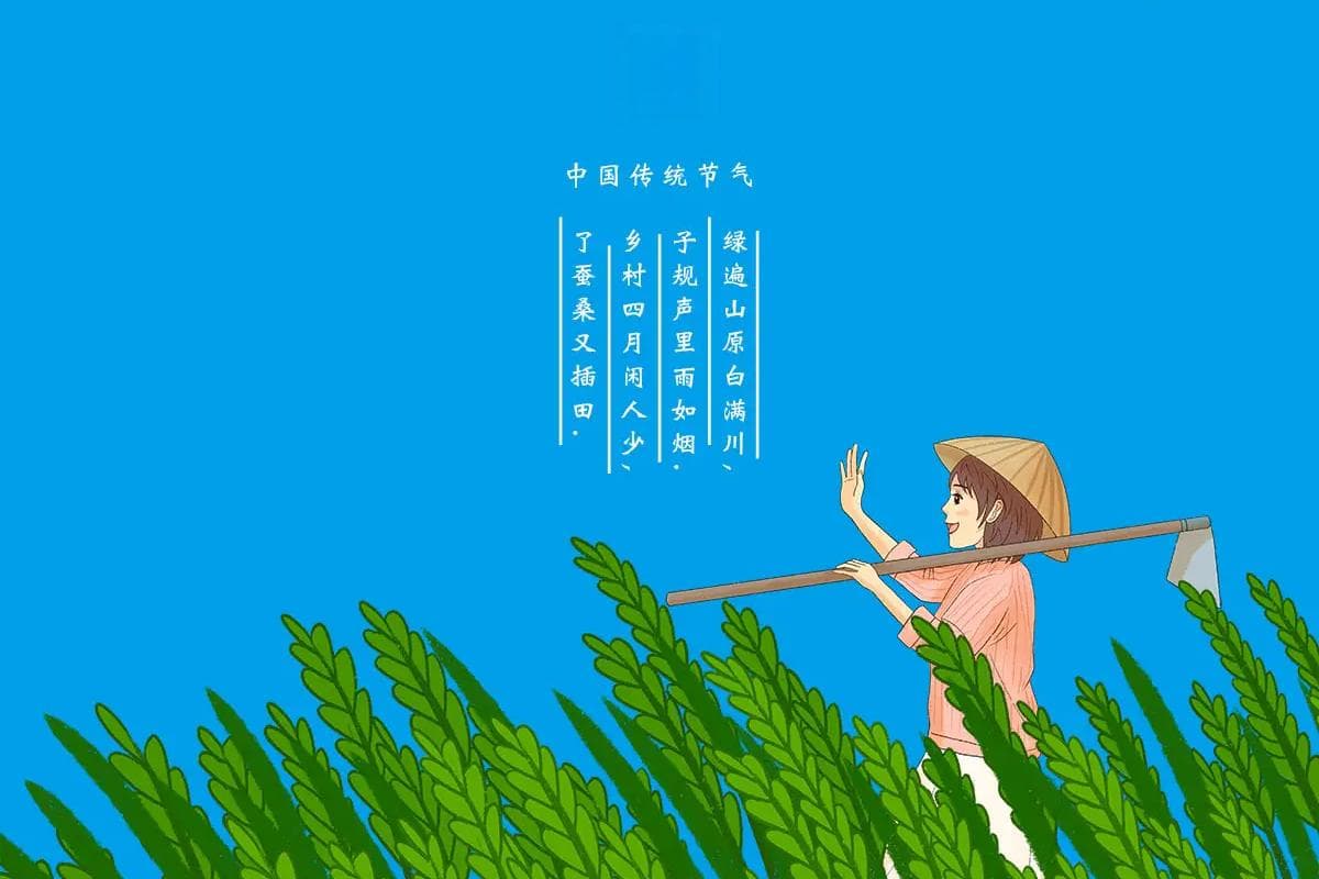 二十四节气小满：由来，习俗，禁忌，物候，农耕