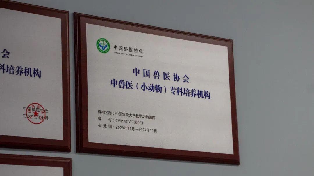 给狗扎一针就能好？包的！