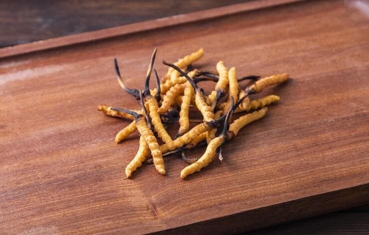 冬虫夏草是虫吗？全面解析功效、禁忌与食用方法