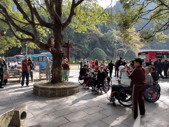张家界国家森林公园：游览无障碍 景区更有爱