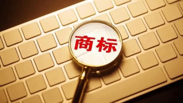 企业商标信息查询：概念、功能与应用场景详解