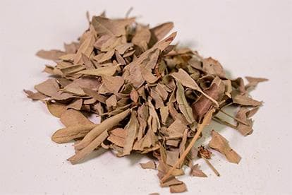 罗布麻叶：一种具有多重功效的中药材