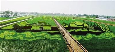 津郊万象新 良田沃野绘“丰”景
