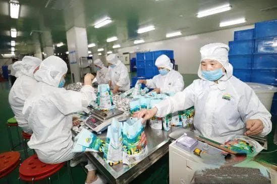 廊坊：特色产业集群成为县域高质量发展“主引擎”
