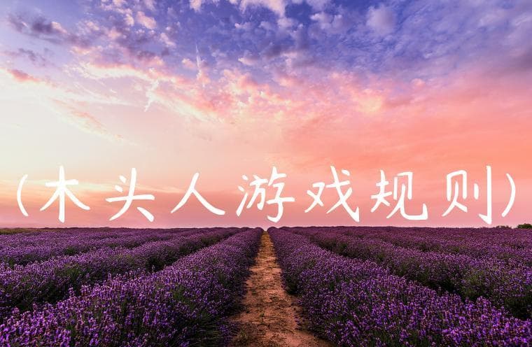 木头人游戏规则详解：经典玩法与多种变体