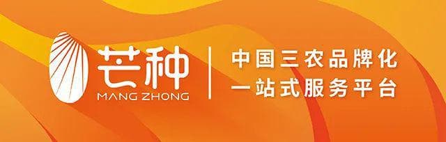 媒体聚焦 | 安徽土特产出圈，“定有良材”探寻农业品牌化“密码”