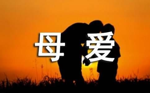 写母爱的唐诗