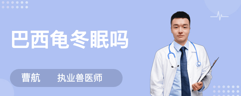 巴西龟冬眠吗