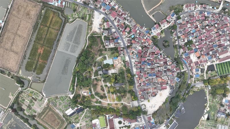 科学实证南京薛城遗址已有6300岁，先民图腾是扬子鳄