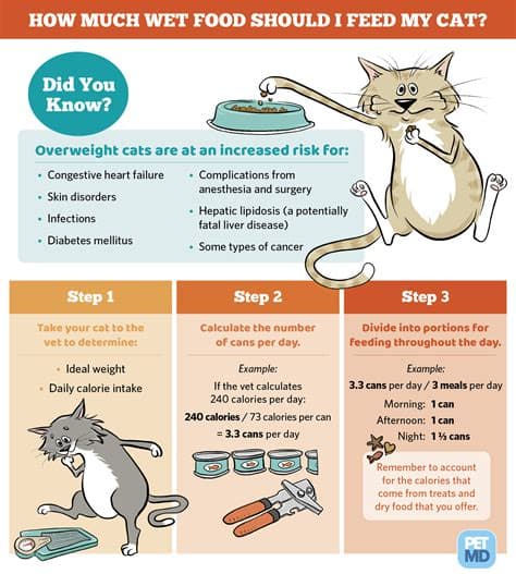 猫咪一天吃多少？关于猫咪喂食量的全方位指南！