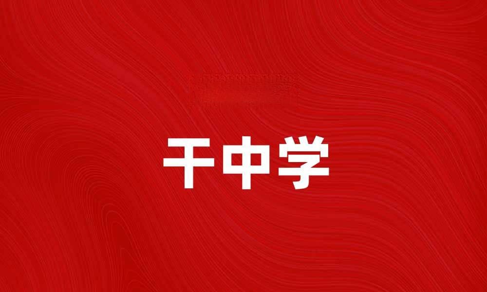 干中学：探索实践与理论结合的高效学习方法