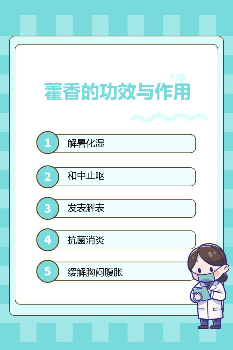 藿香的功效与作用