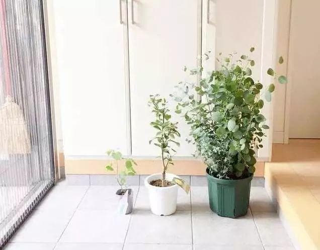 《断舍离》：如何通过整理物品实现内心的宁静？