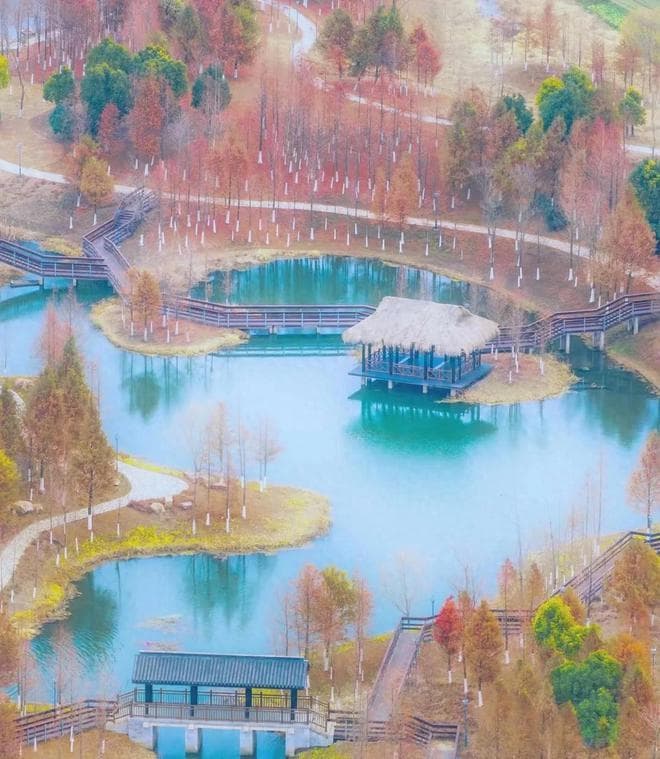 盐城最值得去的6个地方，有车没车都要抽空走一趟，你去过几个？
