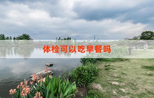 体检可以吃早餐吗？解读不同体检项目的饮食要求