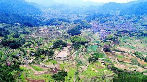数字乡村建设：农村土地管理的数字化工具的应用与实践