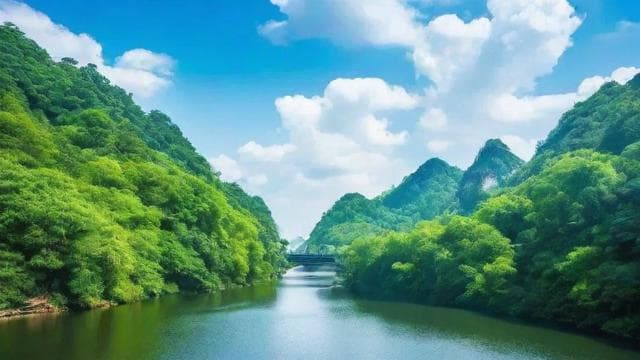 自媒体引流案例：如何成功吸引并留住目标受众？