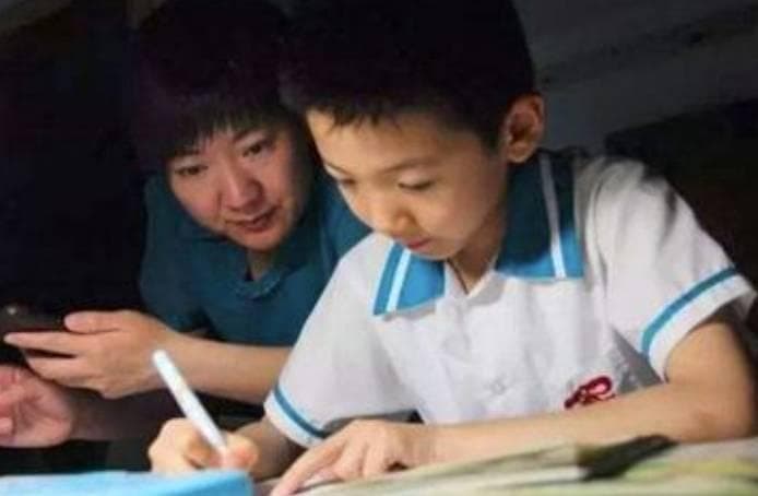 小学生25字作文走红，折射出家庭教育的真谛