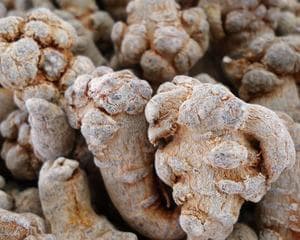 探秘三七的故乡——云南（了解三七在云南的发展历程和现状）