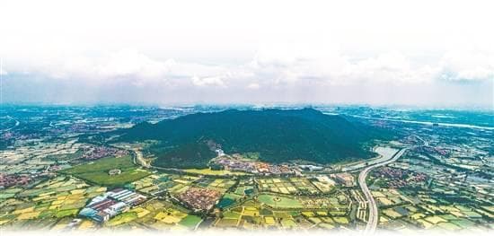 广东文旅多了一个案例样本