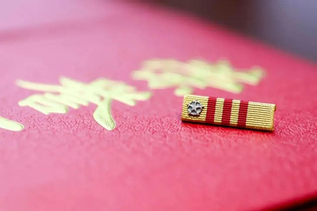 荣誉激励！这个连，全体官兵同戴一块勋表！