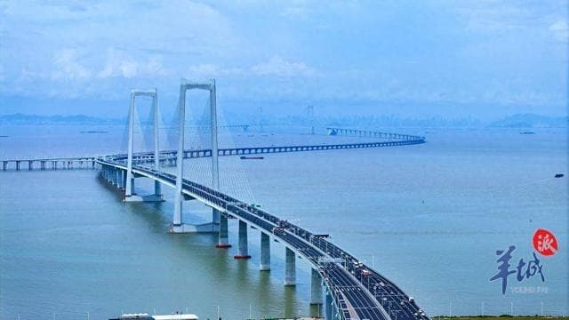 抢不到票怎么办？如何避开出行高峰？广东多方回应春运热点问题
