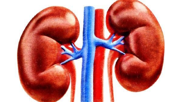 春季肾病预警：尿量减少、浮肿、血压升高等5大信号，及时就医很关键！