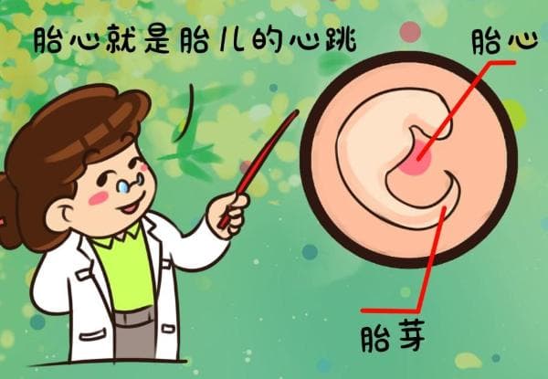胚胎移植后，多久才能检测到胎心？