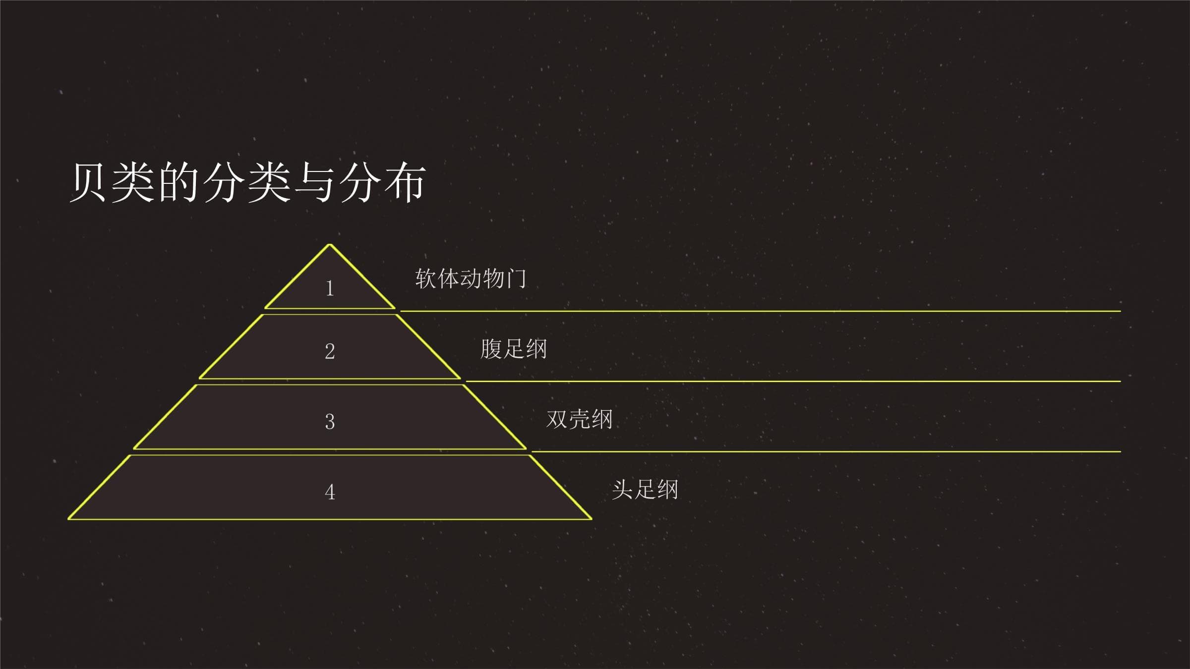 贝类生态：从基本概念到保护现状