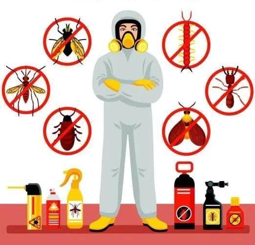 病媒生物防制知识：预防"四害"，守护健康
