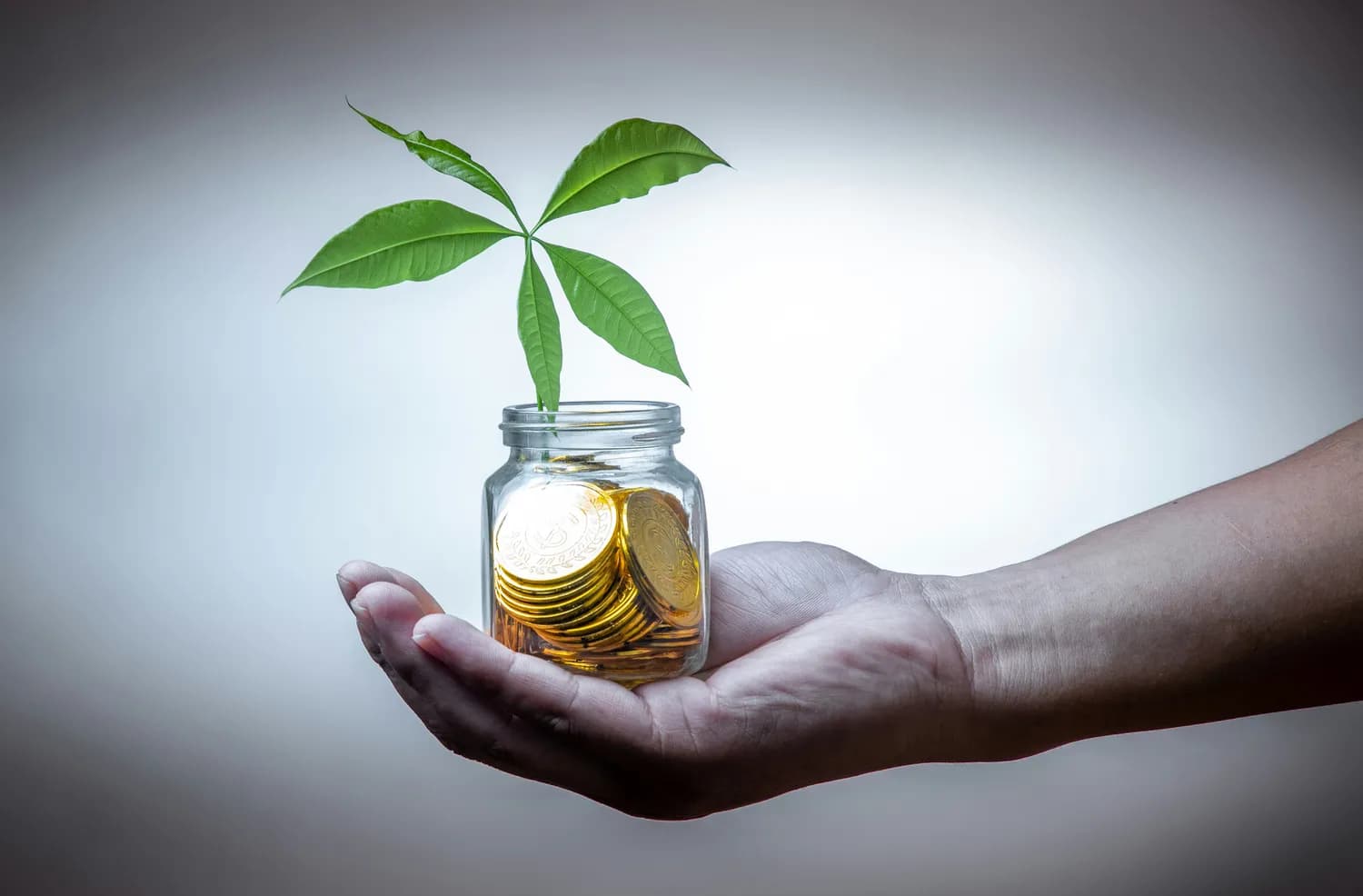 双碳目标下，碳金融助力新能源技术突破