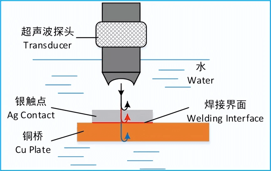 超声波扫描显微镜（SAM）的工作原理与应用