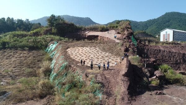 全球最大！福建发现恐爪龙类新足迹属种