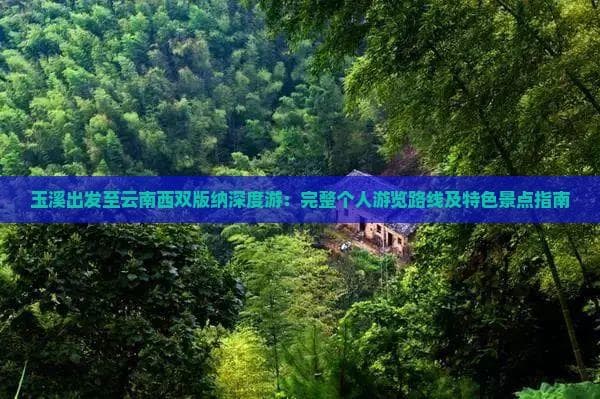 从玉溪到西双版纳：热带雨林与傣族文化5日游攻略