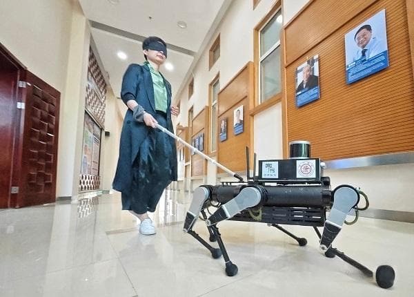 会听话、能导盲，还能识别红绿灯 上海交大研发6足导盲机器狗助力改善视障人士生活