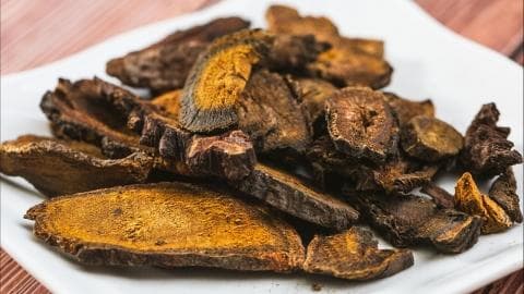 土大黄的功效与作用有哪些
