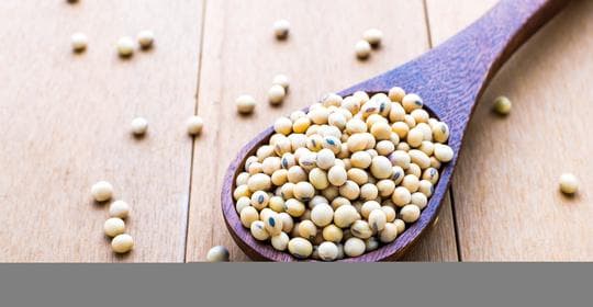 大豆卵磷脂：功效、营养价值、禁忌、正确食用方式