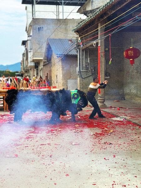 2025 春节旅游大揭秘：跨境游激增 非遗成新宠