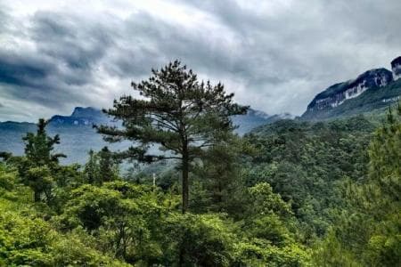 金佛山国家重点风景名胜区